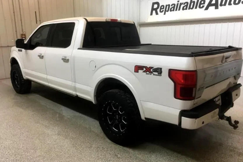 2019 Ford F-150 Platinum photo 1