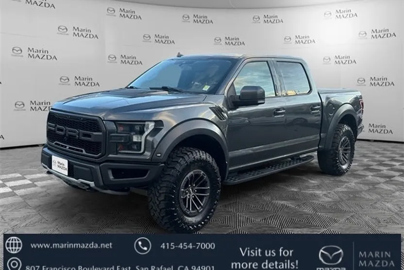 2019 Ford F-150 Raptor photo 1