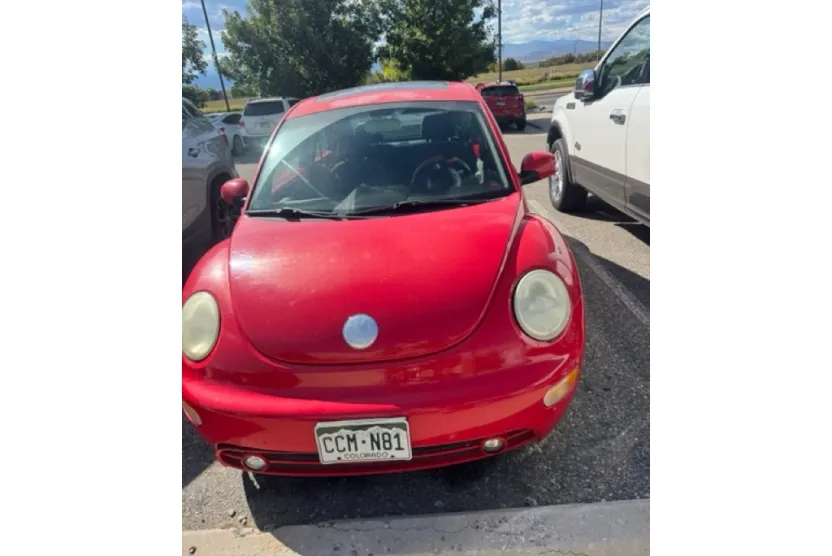2004 Volkswagen Beetle GLS photo 1