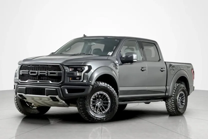 2019 Ford F-150 Raptor photo 1