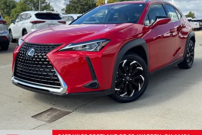 2021 Lexus UX 250h photo 1