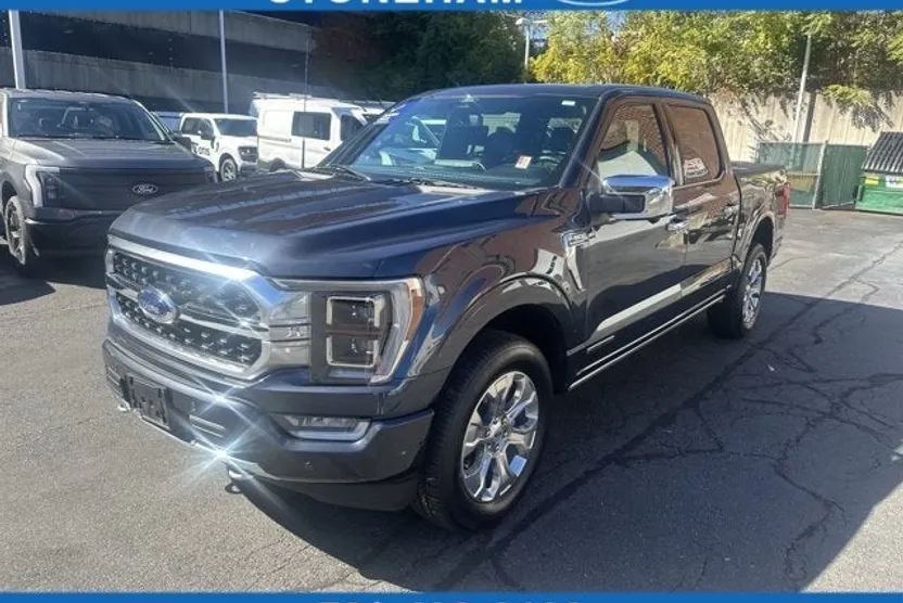 2022 Ford F-150 Platinum photo 1