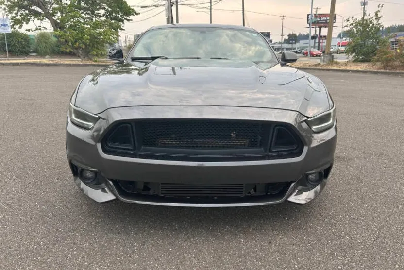 2015 Ford Mustang EcoBoost photo 1