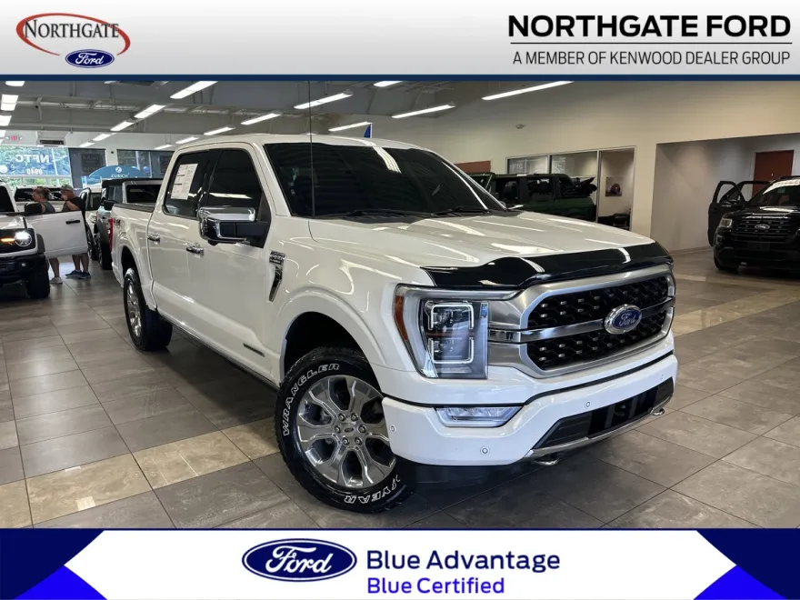 2021 Ford F-150 Platinum photo 1