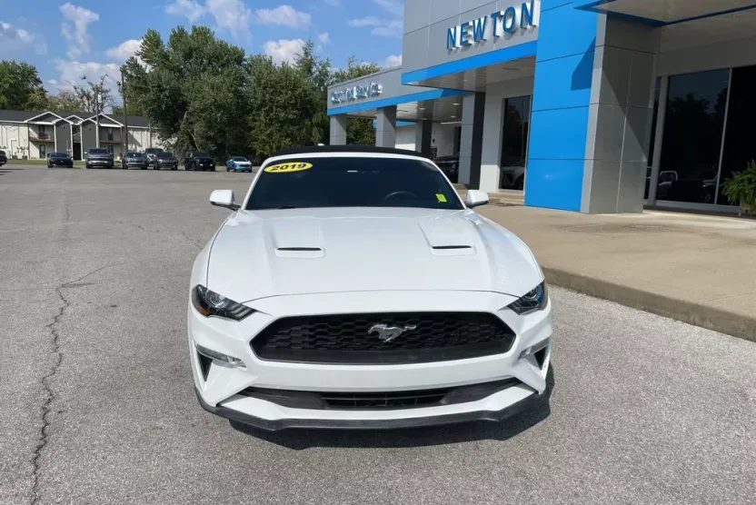 2019 Ford Mustang EcoBoost Premium photo 1