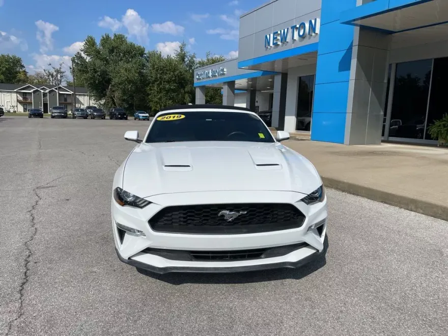 2019 Ford Mustang EcoBoost Premium photo 1