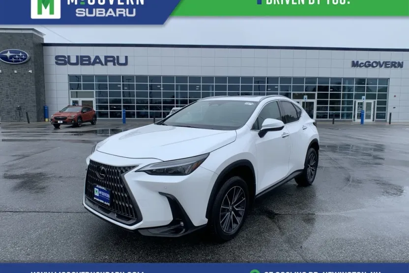 2024 Lexus NX 350 Premium photo 1