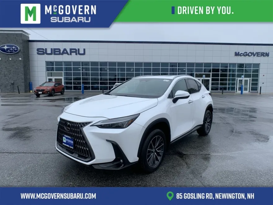 2024 Lexus NX 350 Premium photo 1