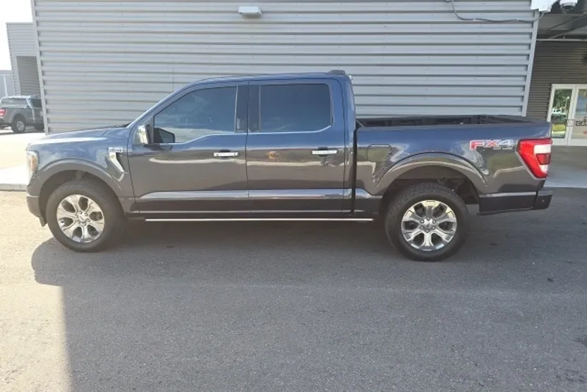 2021 Ford F-150 Platinum photo 1