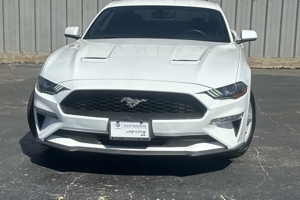 2019 Ford Mustang EcoBoost photo 1