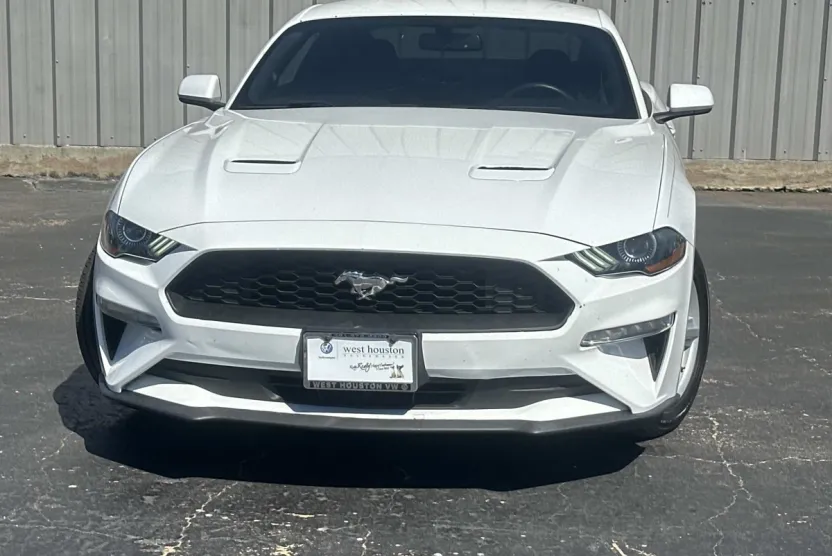 2019 Ford Mustang EcoBoost photo 1