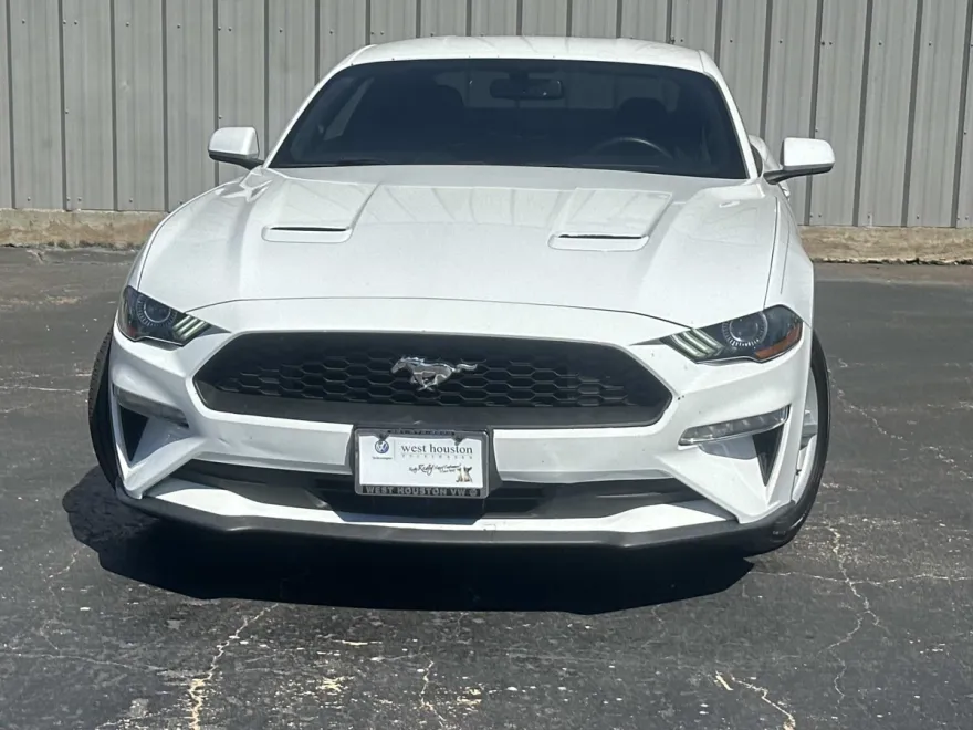 2019 Ford Mustang EcoBoost photo 1