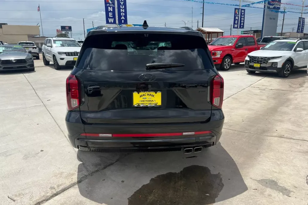 2025 Hyundai Palisade Calligraphy photo 1