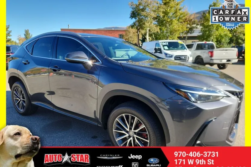 2023 Lexus NX 350 Premium photo 1