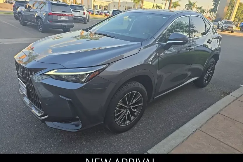 2024 Lexus NX 250 photo 1