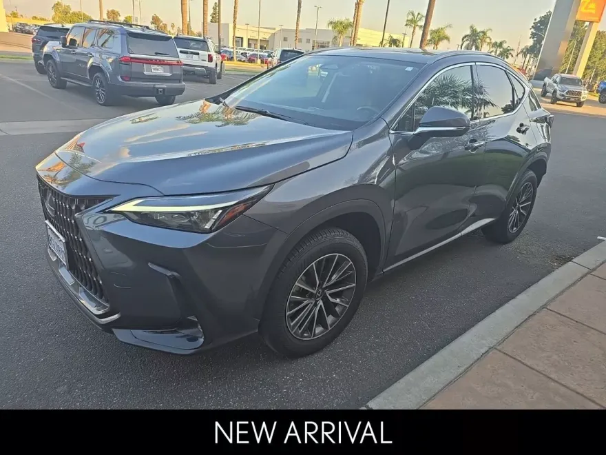 2024 Lexus NX 250 photo 1