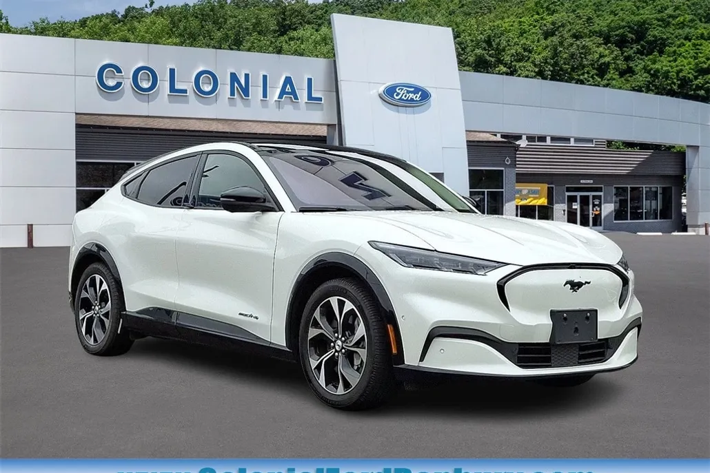 2021 Ford Mustang Mach-E Premium photo 1