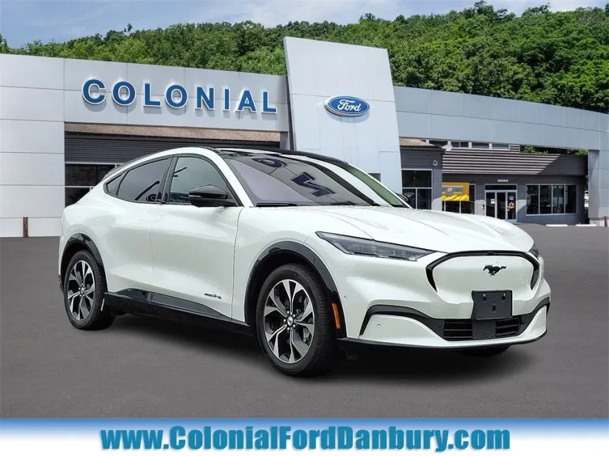 2021 Ford Mustang Mach-E Premium photo 1