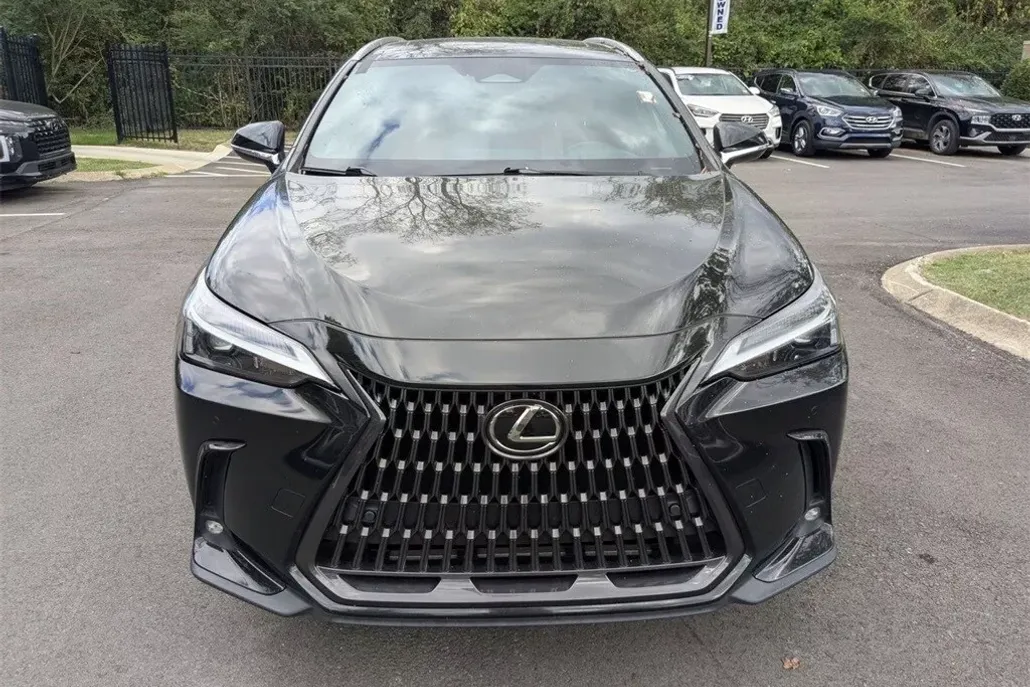 2022 Lexus NX 350h Premium photo 1