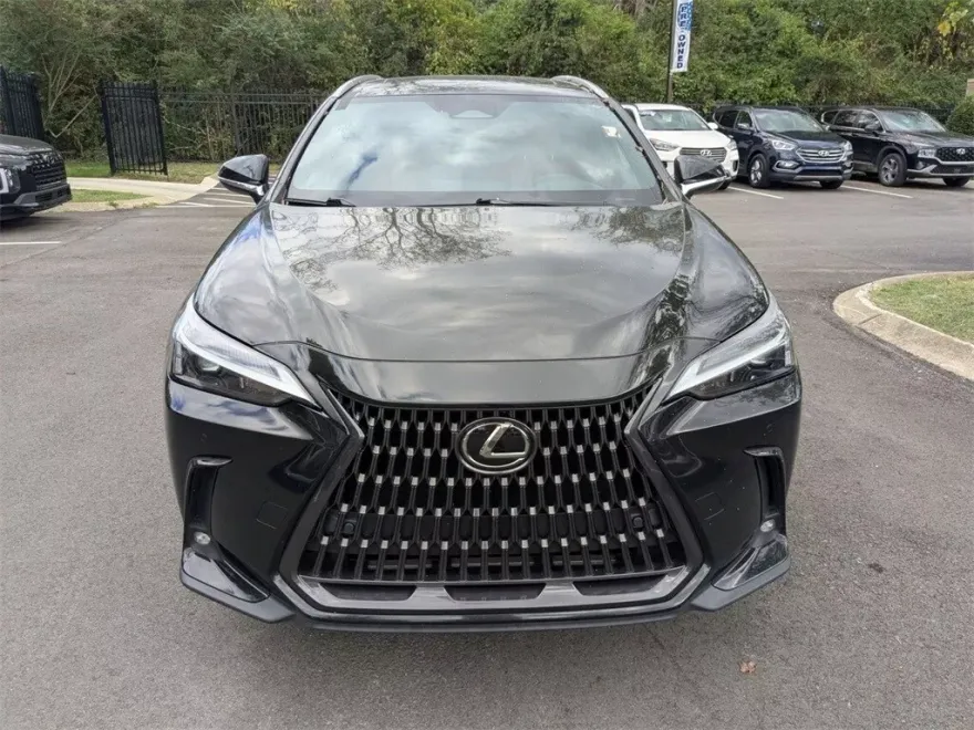 2022 Lexus NX 350h Premium photo 1