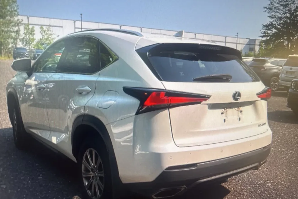2019 Lexus NX 300 F SPORT photo 1
