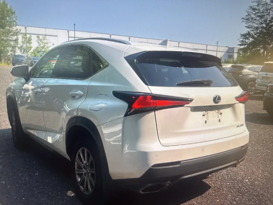 2019 Lexus NX 300 F SPORT photo 1