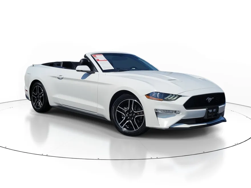 2019 Ford Mustang EcoBoost Premium photo 1