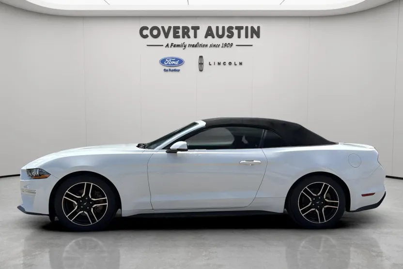 2019 Ford Mustang EcoBoost Premium photo 1