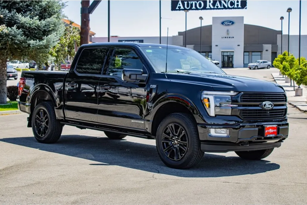 2025 Ford F-150 Platinum photo 1