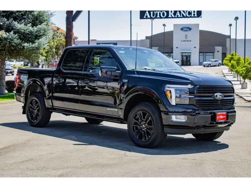 2025 Ford F-150 Platinum photo 1