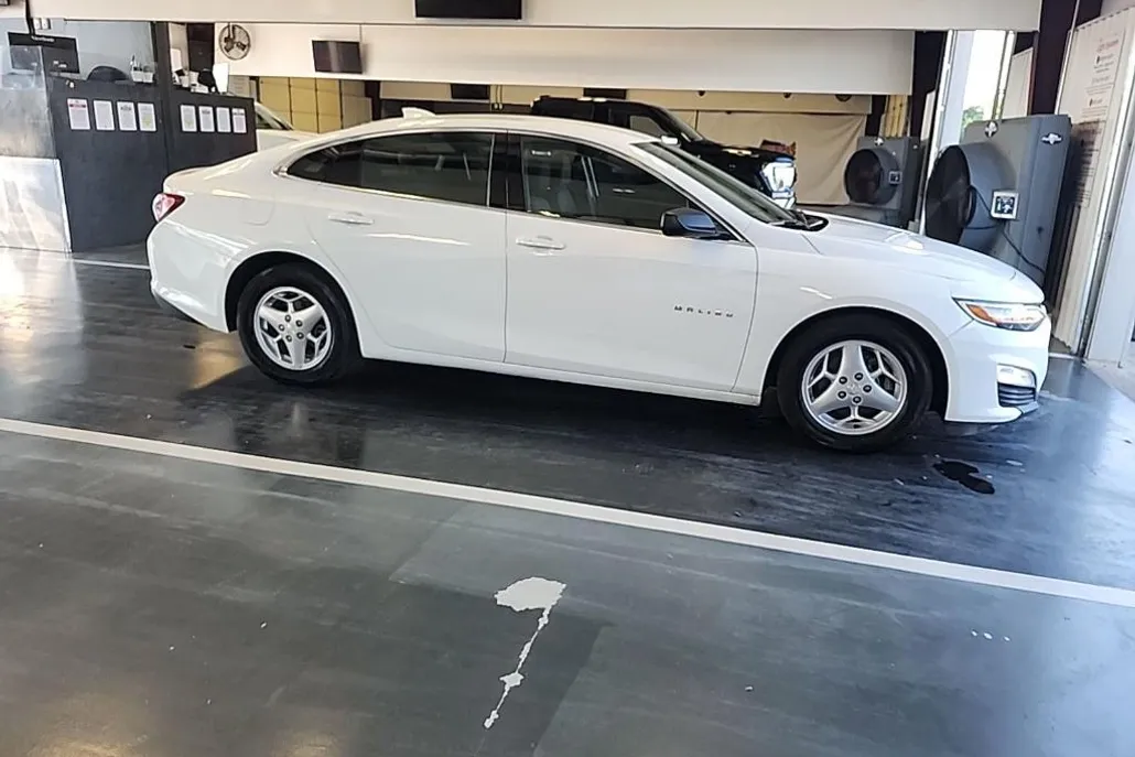2019 Chevrolet Malibu 1LT photo 1