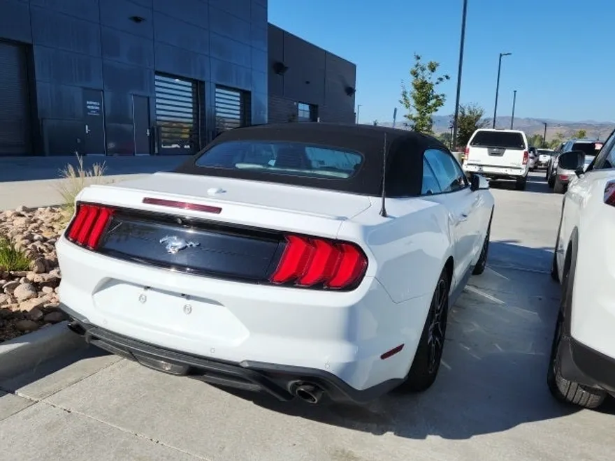 2022 Ford Mustang EcoBoost Premium photo 1