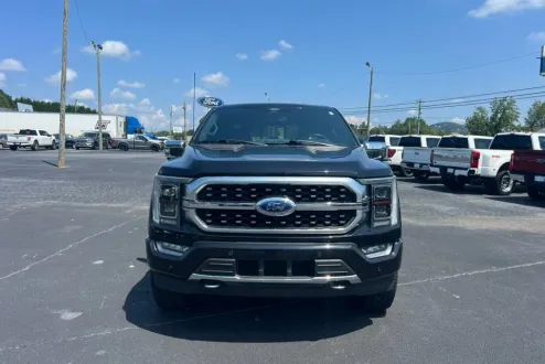 2021 Ford F-150 Platinum photo 2