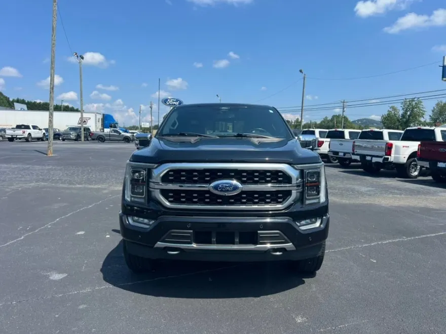 2021 Ford F-150 Platinum photo 2