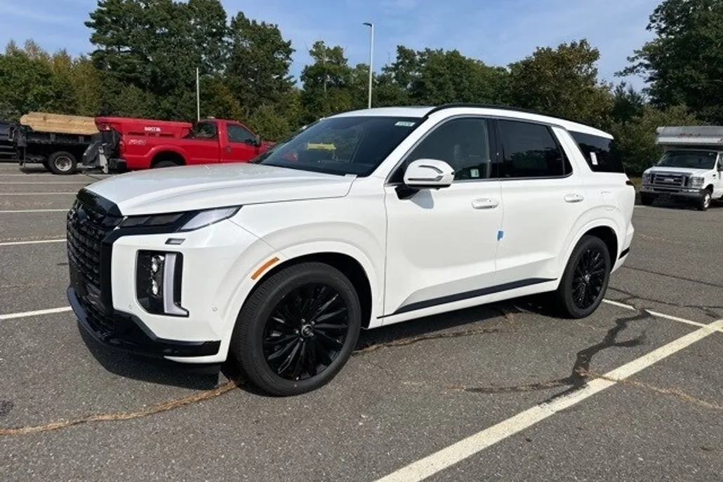2025 Hyundai Palisade Calligraphy photo 1