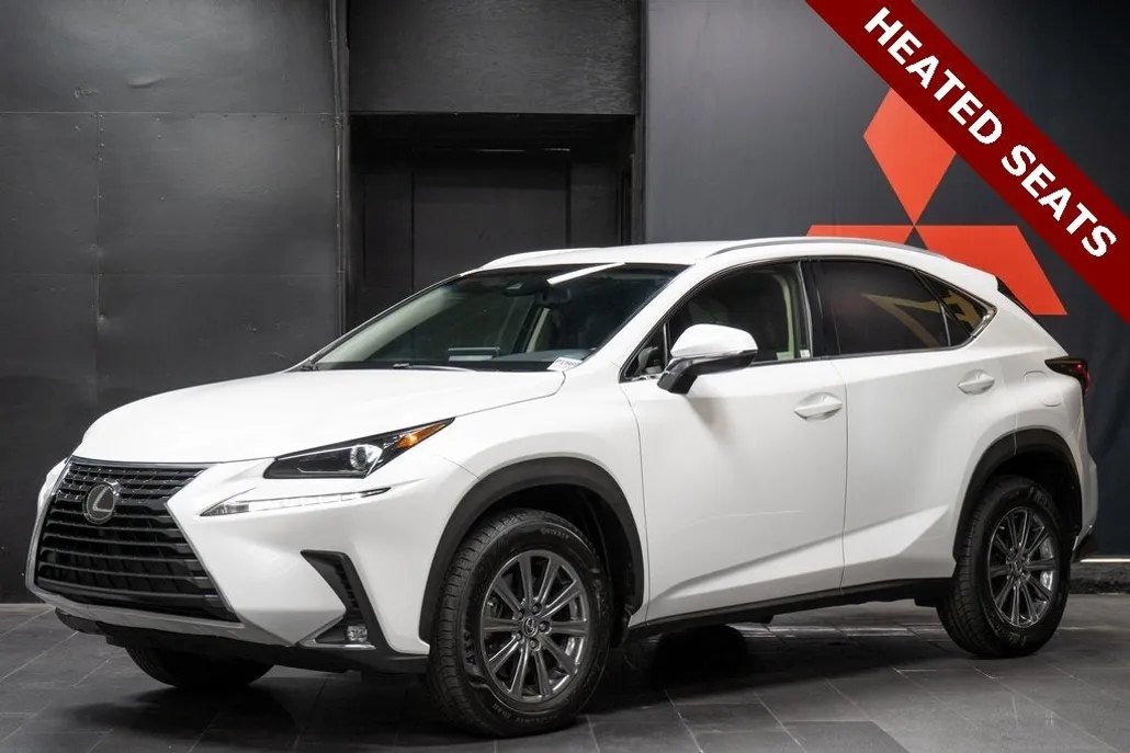2018 Lexus NX 300 Luxury photo 1