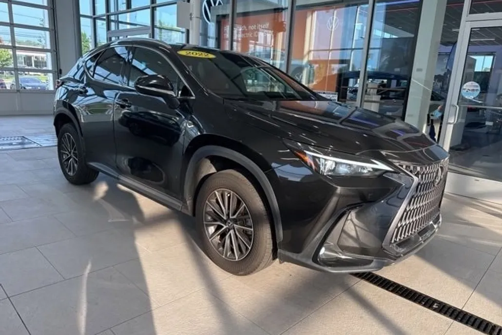 2022 Lexus NX 350h Premium photo 1