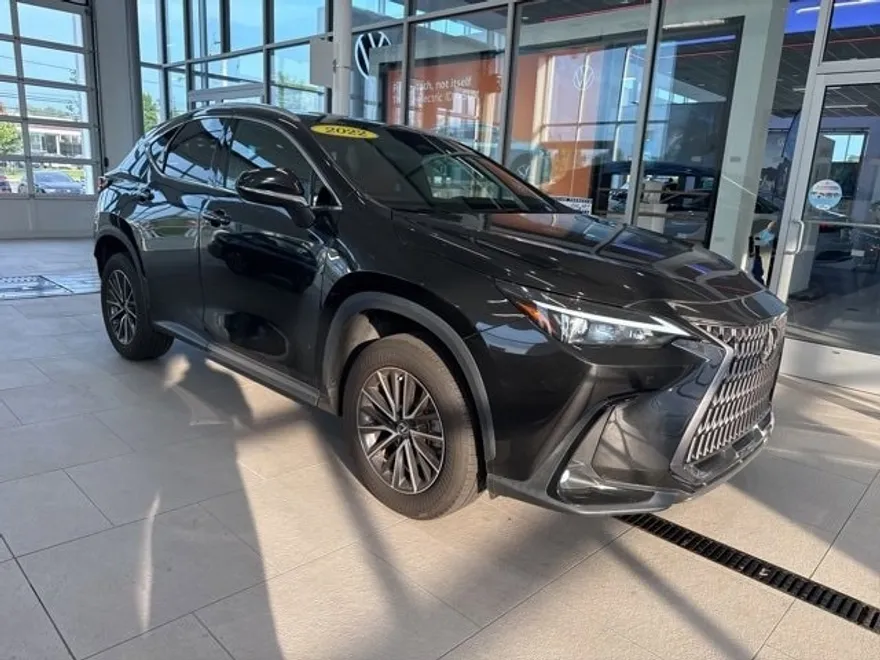 2022 Lexus NX 350h Premium photo 1