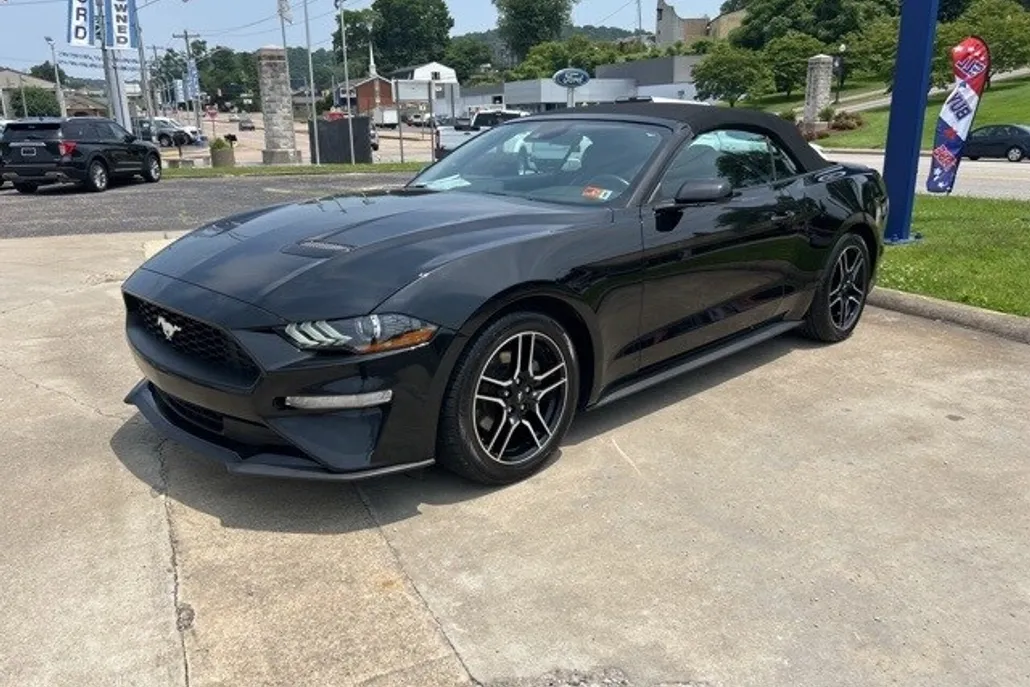 2023 Ford Mustang EcoBoost Premium Convertible photo 1