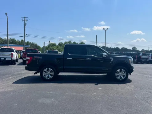 2021 Ford F-150 Platinum photo 4