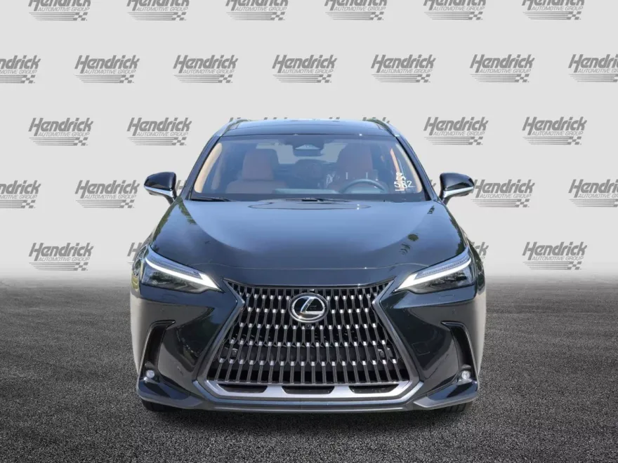 2026 Lexus NX 350h Luxury photo 1