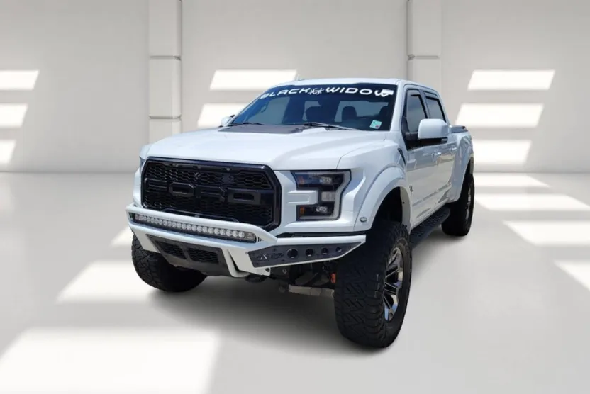 2019 Ford F-150 Raptor photo 1