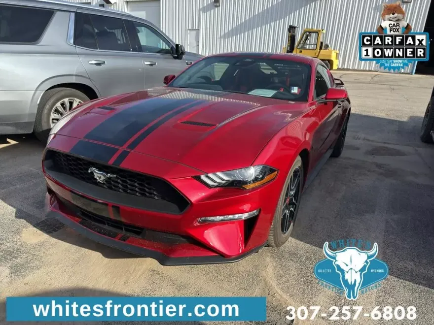 2022 Ford Mustang EcoBoost Premium photo 1