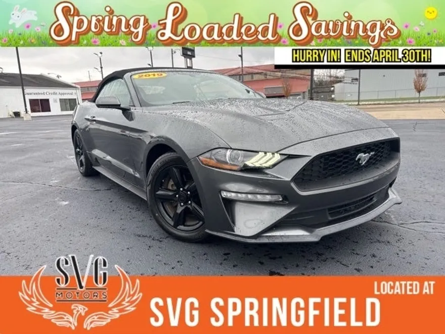 2019 Ford Mustang EcoBoost photo 1