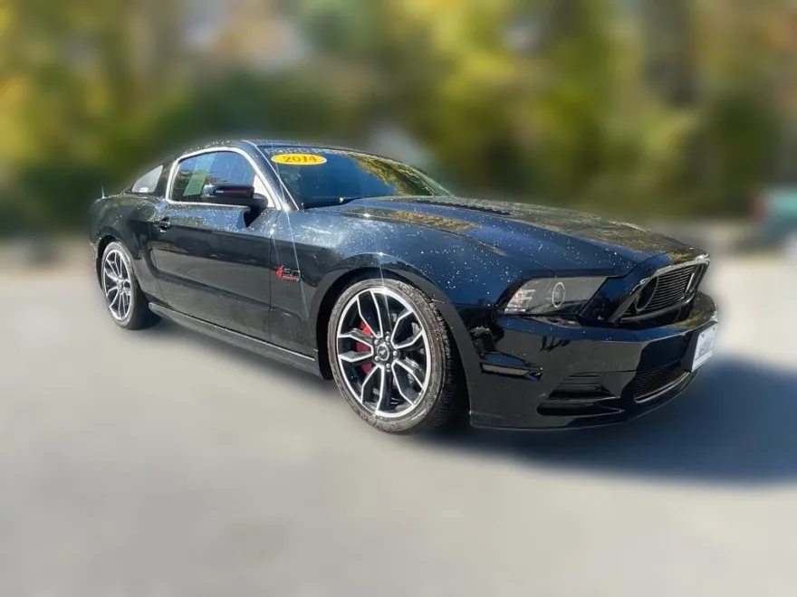 2014 Ford Mustang GT photo 1