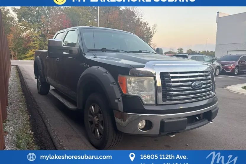 2010 Ford F-150 photo 1