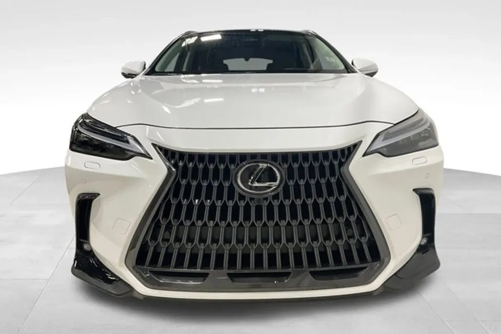 2026 Lexus NX 350h Luxury photo 1