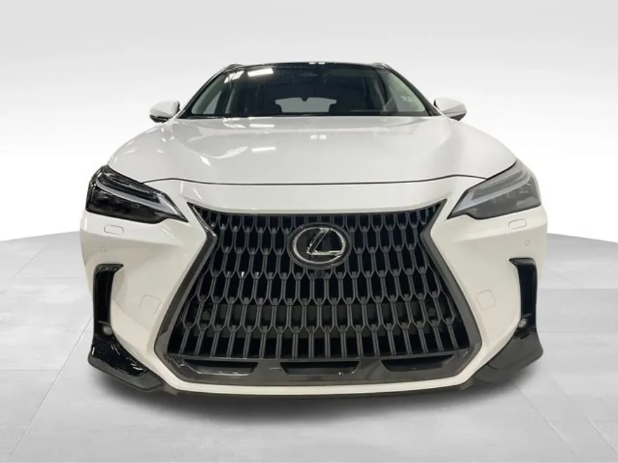 2026 Lexus NX 350h Luxury photo 1