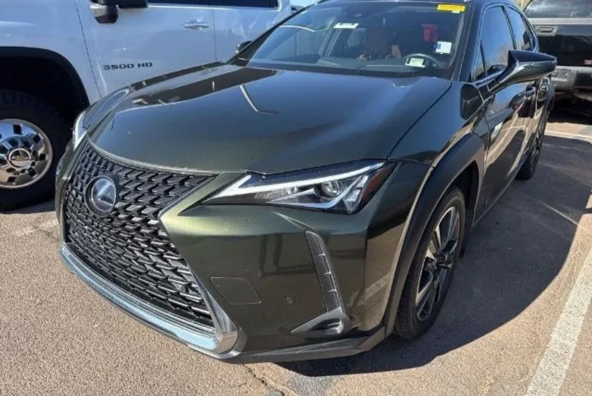 2021 Lexus UX 250h photo 1