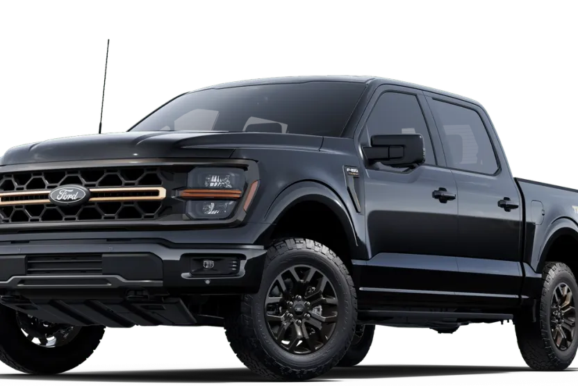2025 Ford F-150 Tremor photo 20